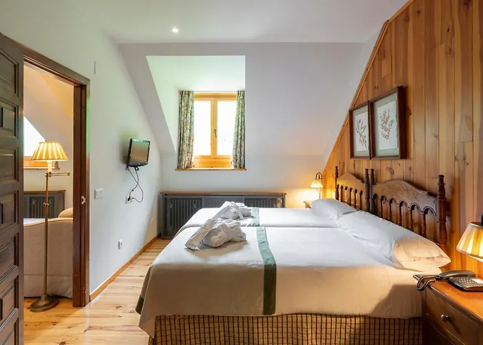 호텔 파라도르 데 비엘사