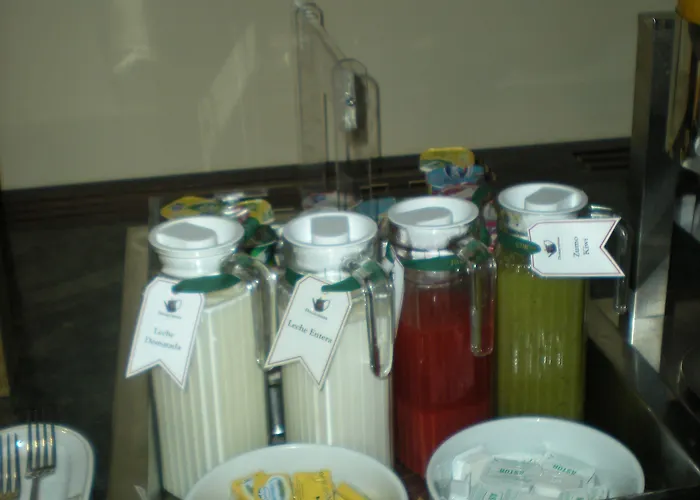 호텔 파라도르 데 비엘사 Espierba