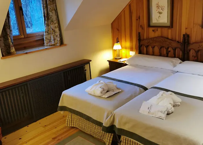 호텔 파라도르 데 비엘사 Espierba