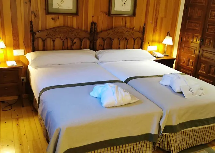 파라도르 데 비엘사