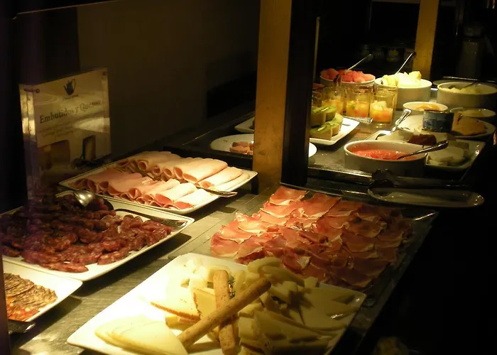 호텔 파라도르 데 비엘사