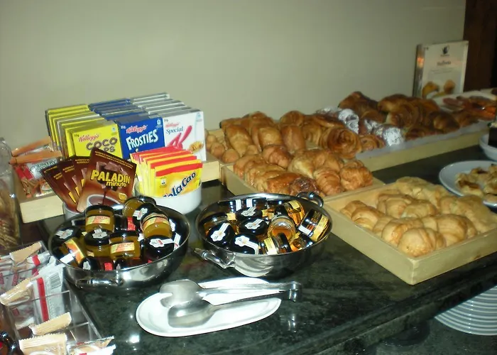 호텔 파라도르 데 비엘사